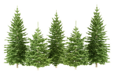 tree, christmas, winter, snow, fir, forest, pine, 