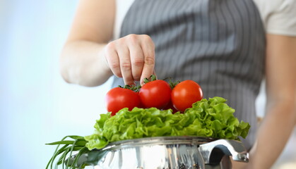 Chef Hand Holding Organic Tomato Photography. Fresh Greens and Salad on Saucepan. Culinary Recipe Blog. Cook Blogger in Apron. Healthy Vegetable Ingredient. Dieting Lifestyle Partial View Shot