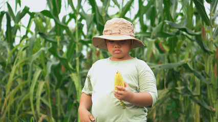 Asian kid  eating fresh corn at corn garden.