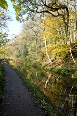 Footpath alongside the Cromford Canal in Derbyshire, England, UK. Trees with autumnal colours reflected in calm waters. 