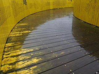 Fototapeten Gelbe Luchtsingel Brücke im regnerischen Rotterdam, Niederlande © Julia