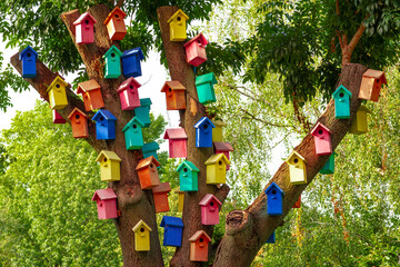  Colorful Bird Houses. Houses for birds. Lodges for a wintering of birds