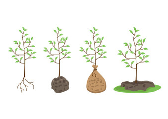 A set of tree seedlings in a bag, a young tree planted in the ground, a seedling with roots. Gardening and ecology. Vector illustration in flat style.