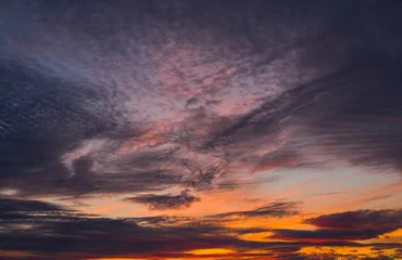 Foto auf Alu-Dibond Dramatic afternoon. Wonderful clouds at sunset. Very beautiful sky background © daphnusia