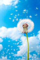 Fototapeta premium Beautiful dandelion against the sky. Generative AI,