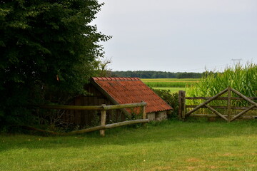 Fototapeta premium A close up on a vast field, meadow or pastureland located next to a small asphalt road, and some wooden fences with small sheds, huts, or houses located next to them seen on a cloudy summer day