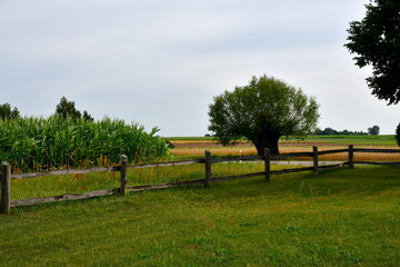 A close up on a vast field, meadow or pastureland located next to a small asphalt road, and some wooden fences with small sheds, huts, or houses located next to them seen on a cloudy summer day