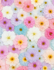 Fototapeta premium pink and white flowers