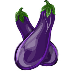 image of two purple eggplants, without background
