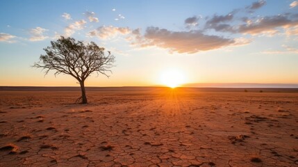 Tree in the midst of drought and desolation. - obrazy, fototapety, plakaty
