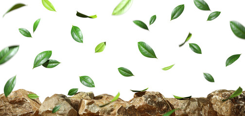 Eco lush leafs falling down movement on rocks isolate 3d render png