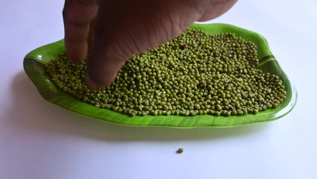 Mung bean. It's other names Vigna radiata,&nbsp;green gram,&nbsp;maash, mung,&nbsp;monggo, kacang hijau and&nbsp;munggo. Its plant&nbsp;species&nbsp;in the&nbsp;legume family. It is used as  ingredient in both savoury and sweet dishes.