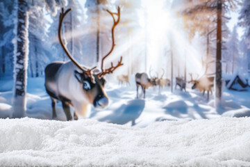 Winter backgoround of snow and empty place for your decoration. Blurred landscape of forest and...