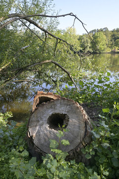 mainufer