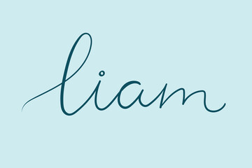 Male name Liam. Handwritten lettering calligraphy Boy name. Vector illustration