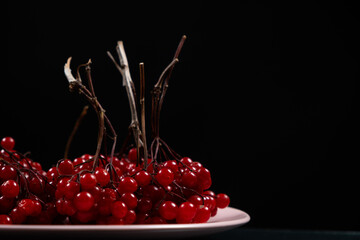 A bunch of ripe viburnum berries on a black background close-up, space for text.