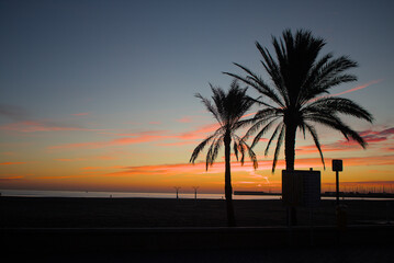 Fototapeta na wymiar palmeras al amanecer