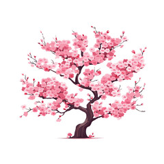 BRANCH SAKURA TREE ISOLATED WHITE BACKGROUND