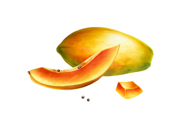 Marker sweet ripe composition of half a papaya with grains watercolor style. Hand drawn realistic...