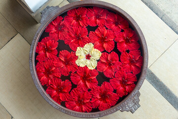 Top view of a flower mandala with red hibiscus floating on water in a vase, tropical floral decor,...