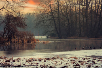 Krajobraz zimowy, mroźny poranek w parku