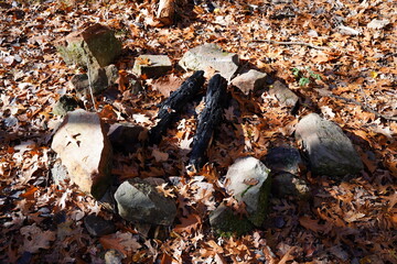 Burnt wood logs sit in a man-made fire pit in a forest during late autumn.