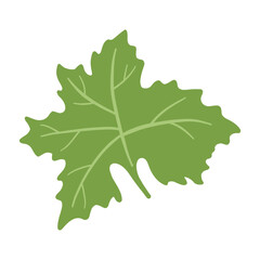 Green Grape Leaf