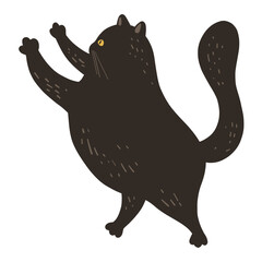 Funny Walking Black Cat