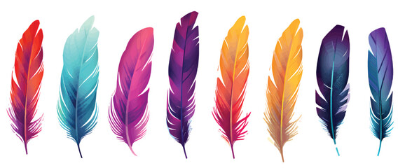 colorful feathers isolated on white - obrazy, fototapety, plakaty