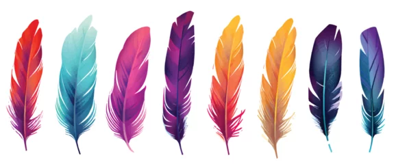 Fotobehang colorful feathers isolated on white © AI for You