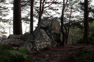 Loch an Eilein, Rothiemurchus scotland