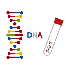 Vector illustration of DNA scientific test graphic. Tube experiment concept.