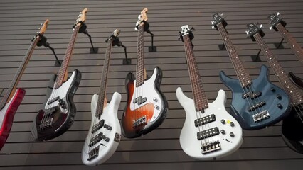 The row of electric guitars hanging on the showcase wall in a musical instrument store