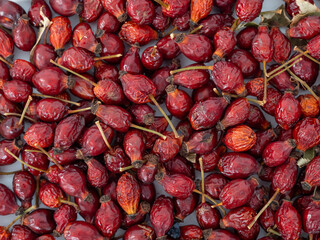 Dried rose hips on a white background. Rosehip close-up.