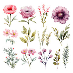 Set of wild field flowers clipart, isolated on white background.