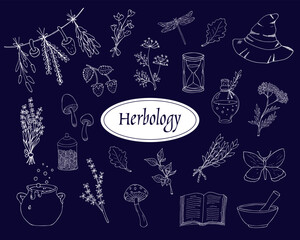 Hand-drawn herbology elements set. Green witch elements doodles. Green witch aesthetic. Elements for fairy witchcraft design. Isolated on blue background.