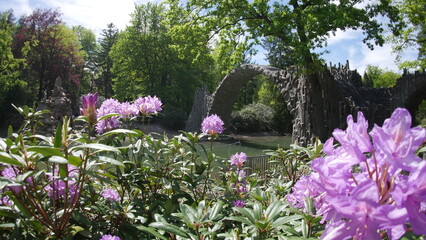 Impressionen vom Azaleen- und Rhododendronpark Kromlau mit der Rakotzbrücke