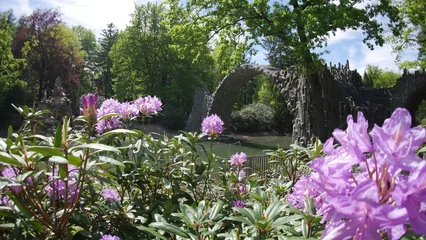 Zelfklevend Fotobehang Rakotzbrücke Impressionen vom Azaleen- und Rhododendronpark Kromlau mit der Rakotzbrücke