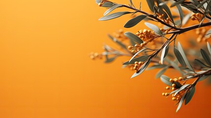  a branch of an olive tree with green leaves and yellow berries on an orange background with copy space for text.