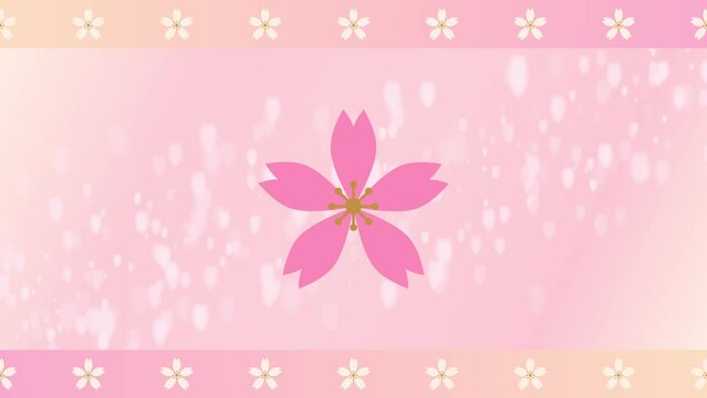 countdown 10 seconds. Background with dancing cherry petals.