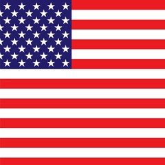 US flag icon isolated on white background 