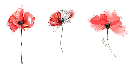 Poppy flowers set cute illustrations png for print on t-shirt card inspiration template without background  red color  in watercolor style hand drawing 