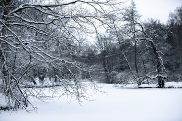 Krajobraz, zima w parku