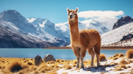 Foto op Canvas  Chile spans across an incredibly diverse range of terrains and climates, like glacial fjords in Patagonia and the rolling vineyards of the country's Elqui Valley. create using a generative ai tool  © Ahtesham