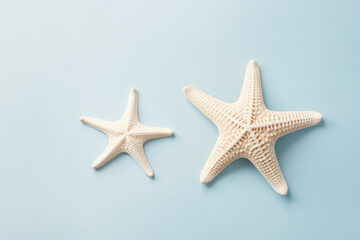 Two starfish are lying on a blue background