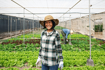 Happy southeast Asian woman working inside agricultural greenhouse - Farm people lifestyle concept