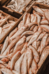 The fish in the market lies in the tray