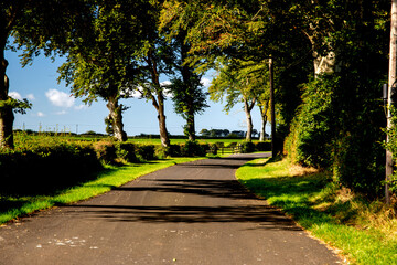 Sunlit Country Lane on a Bright Autumn Morning - 679787709