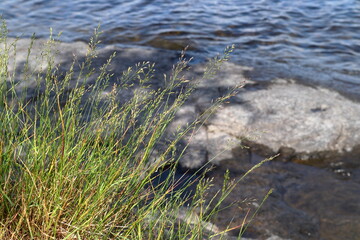 Land and water one summer day in July. Jämtland, Sweden.