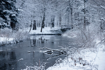 Krajobraz, zimowa rzeka w parku